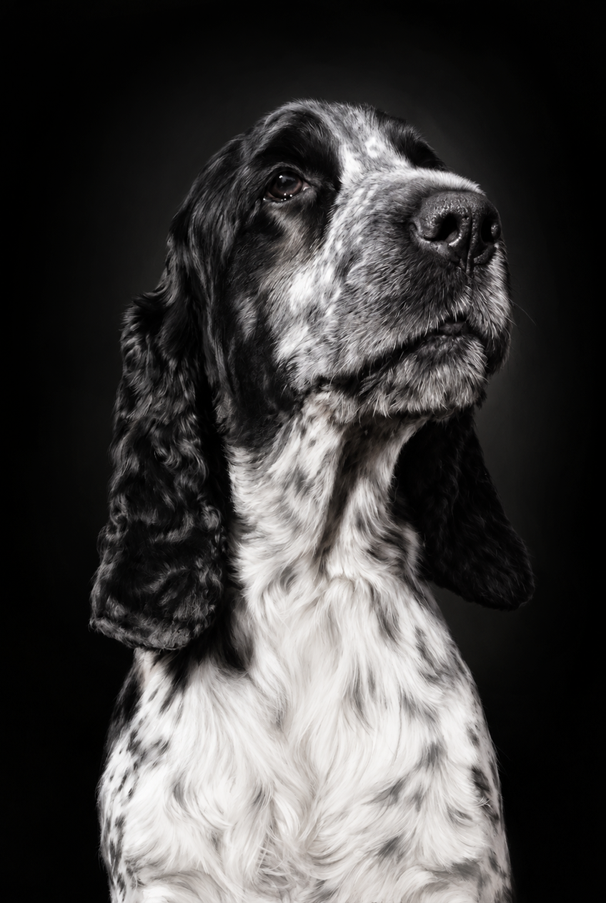 Portrait 2