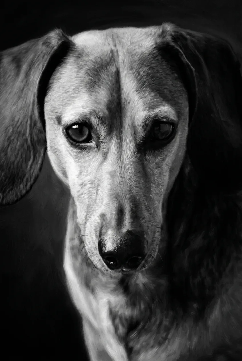 Portrait 5
